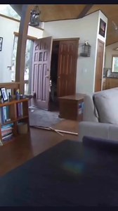 Knock! Knock! 🐻 Video reposted from: @Crave_The_Wild | Steve Knight CBS 21 News