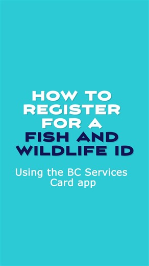 Starting this year, Canadian residents can log in to the WILD system to purchase a hunting or fishing licence using their BC Services Card app. We take you through the steps to show you how to log in, create a Fish and Wildlife ID, and be ready to buy a fishing licence when pre-sales open in March. This option is especially useful for resident hunters and can also streamline registry for some anglers. The second option for logging in to WILD is with a BCeID. A Basic BCeID is the fastest way to g