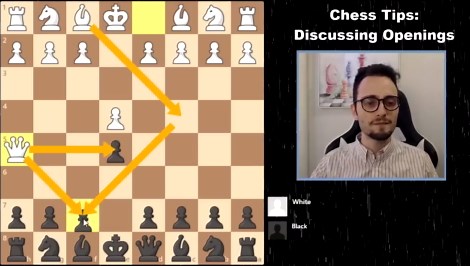 Basic chess openings explained