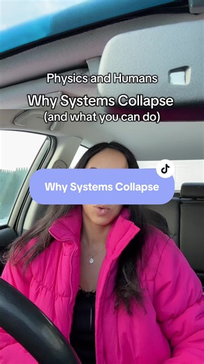 Physics and Humans. Why Systems Collapse (and what you can do) | physics