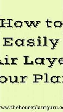 #Air layering Guide, #Plants propagation,