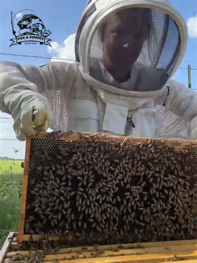 Watch the wildest bull moments ever caught on camera - from rodeo chaos to funny farm escapes! #bullriding #crazyanimals #farmlife #animalfails #funnyanimals | Fish & Funnies