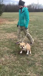 1.2K views · 99 reactions | Meet Spike! Everyone at BCAS thinks this...