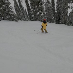 Dreamy combo...Trees and Pow!! I teamed up with @skiwithjennifer a ripping ski instructor out of @aspensnowmass and a great production crew to film ‘Find Your Line: How to Ski Trees’ a 5 part e-learning course on location @ferniealpineresort last winter. Drop into the trees this year with more confidence and elevate the fun meter. Find out more through the link in my bio and use promo code DRSAVES for a 30% discount. I’d say for anyone interested in improving their skiing and confidence in the t