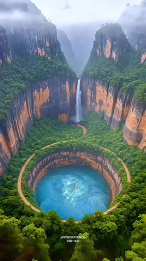 Congo Jungle most danger😱😱#rainforest