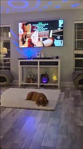 🎉 JYX69BT: Your Ultimate Portable Karaoke Machine for Instant Party Fun! 🎤✨