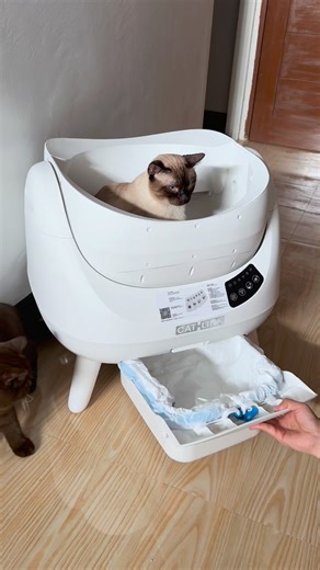 TOFU on Instagram: "Unboxing and setting up Catlink Open-X automatic litter box from @pineapplepets.ph 😻 💌 Use code "TOFU" for ₱500 off at checkout. Check link in bio! #catsofinstagram #cutecats #catlink #litterbox #cats"