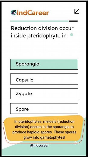 Reduction Division in Pteridophytes | Where Meiosis Happens 🌿 #BiologyShorts IndCareer