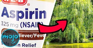 Top 10 Drugs That Exist in Nature | Articles on WatchMojo.com