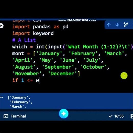 Python ( input ) Function #coding #python #learnpython #programming