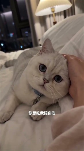 Non-Stop Snacking: Your Ultimate Late-Night Treat Guide