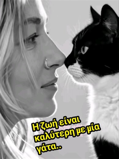 Η ζωή είναι καλύτερη με έναν σκύλο και με μία γάτα..🩷 life is better with a dog and a cat.. 🐕😻🩷 #διασώστης_ζώων #animals_queen #dog #βαρέθηκα_να_βαριέμαι #τα_παρατράγουδα_του_tiktok @KARMA Always Comes Around