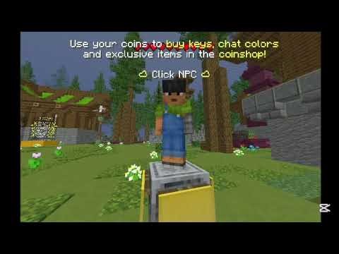 The Best Lifesteal Server play.warnetwork.fun