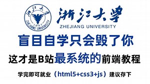 【Web前端开发】HTML CSS JS VUE全套前端零基础入门教程，整整160集配套网页设计案例，一周学会大学课程内容!课件 PDF随时都能学