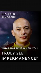 ✨ KALU RINPOCHE: What Happens When You Understand Impermanence ✨ Experience more of this powerful wisdom in Kalu Rinpoche’s new online course, Niguma's Dream Yoga. The course just started, so we recommend joining now. Visit our website to learn more. • #YOGA #MEDITATION #KALURINPOCHE | Wisdom Publications