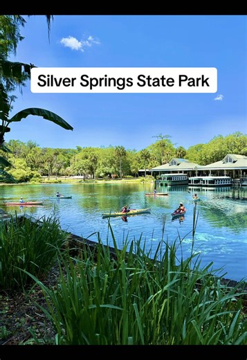 Discover Silver Springs State Park: Nature's Hidden Gem