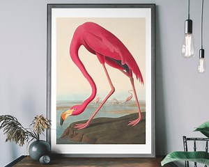 Pink Flamingo Vintage Art Print, Birds of America Decor, Antique Bird Illustration, John Audubon Poster - Etsy