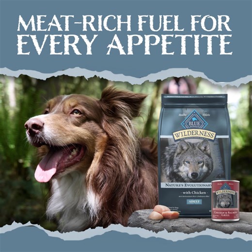 BLUE Wilderness is a powerful food for active dogs who demand a protein-packed diet. | Blue Buffalo