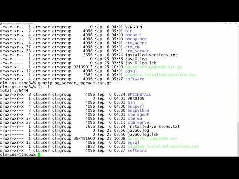 CWCM: Upgrading PostgreSQL Database After Control-M In-Place Upgrade