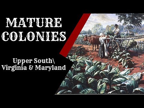 From Jamestown to Plantations: The Chesapeake Colonies Explained | Development of Mature Colonies