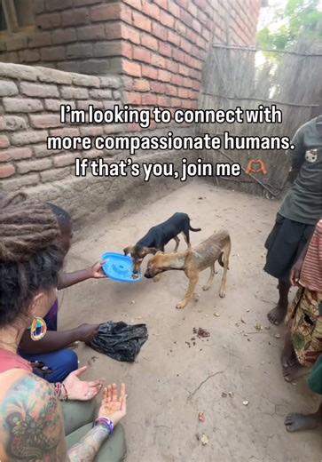 I’m looking for compassionate people. People who still feel deeply. People who haven’t gone numb. People who believe empathy isn’t weakness, it’s the way forward. This page is a space to connect, learn, and grow in compassion for all beings. If that resonates with you, I’d love for you to be here. Join me. 🤍 #community #compassion #connection #fyp #foryoupage