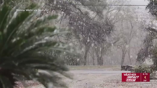 Snow falls on the state of Florida for the second year in a row