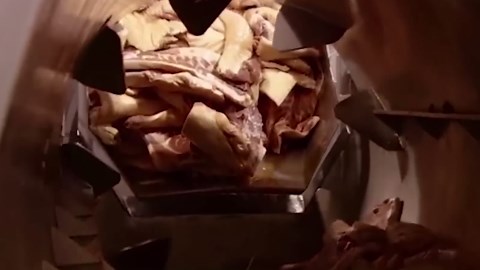 How Bacon Is Made – Full Process Inside the Modern Factory