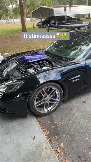 Discover the Unique Scent of Car Cologne