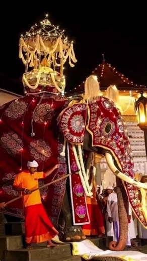 The Magnificent Kandy Perahara #srilanka #travel #festival #culture