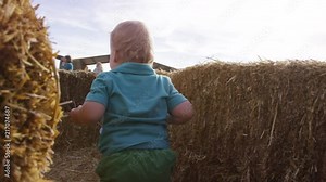 Toddler walks through a hay bale maze