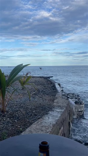 Hector's House on Reels