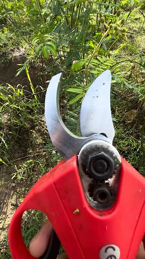 1.2K views | electric scissors easy use save time P2211 #tool | Louie Reid | Facebook