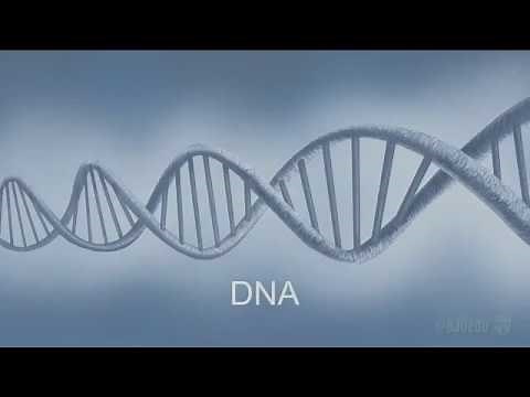 Science Confirms the Bible