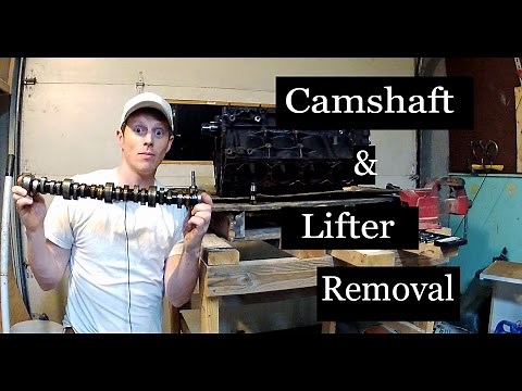 LS Camshaft and Lifter Removal - Iron LS1 Build #3