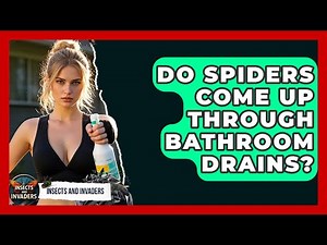 Do Spiders Come Up Through Bathroom Drains? - Insects and Invaders