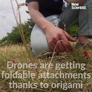 70K views · 346 reactions | An origami-inspired robotic arm is perfect for sticking gadgets on drones | New Scientist | Facebook