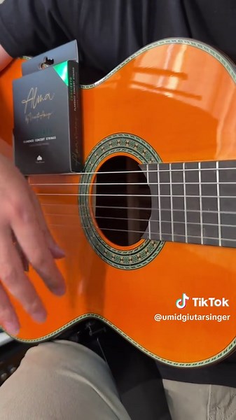 Alma by Vicente Amigo – Concierto Flamenco con PRK Strings