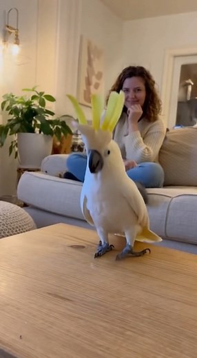 308K views · 14K reactions | Move i wanna dance 列 | Random Sparks | Facebook