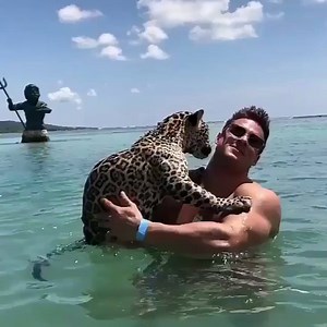 Swimming with jaguars = goals 😍🐆 Logan Franklin | LADbible