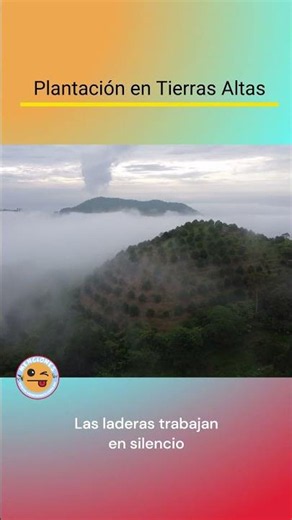 Highlands Plantation – 4K Aerial View | @MencionesAéreas