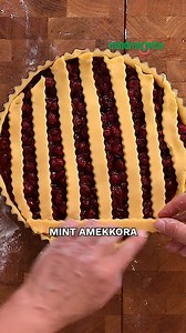 A meggyes rácsos pite igazi klasszikus sütemény. Nemcsak finom, hanem rendkívül mutatós is. Farkasinszki Ildikó süticoach, a Mindmegette maestrója a Sütisuliban mutatja a meggyes pite receptjét. #meggyespite #sütisuli #sütemény 👉 A receptet itt találjátok: https://www.mindmegette.hu/recept/meggyes-pite-video | Mindmegette.hu