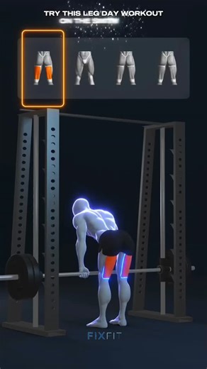 @fixfit07 on Instagram: "🦵🏻 Leg Workout on Smith Machine , best exercise to train legs , #legworkout #homeworkout #gymworkouts Follow to make FIXFIT your personal trainer... Hashtags --> #viralreels #trendingreels #instagramreels #GymShorts #gymtips #GymMotivation #GymKnowledge #gymworkouts #GymMistakes #gymmotivation #gymreels #fitnessshorts #FitnessMistakes #FixYourForm #fitlife #FitnessReels #FitnessTips #fitnessjourney #tiboinshape #ankitbaiyanpuriya"