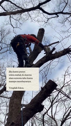 Work out #woodworking #feedshorts #motivation #workout #shortvideo #climbing #stihl #woodwork