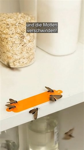 Ich habe es an den Küchenschrank geklebt – Motten machen einen großen Bogen darum ⛔️ | Schlaue Tricks