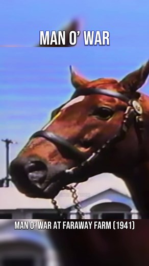 The Legendary Man O’ War in Color