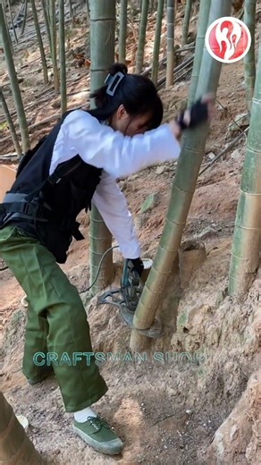 A machine for quickly cutting bamboo