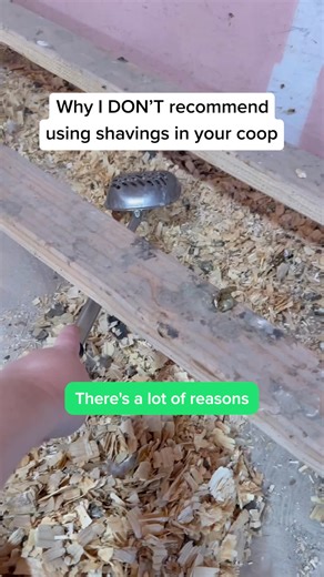 Upgrade your coop and your routine with Grubbly Farms Hemp Bedding! Eco-friendly and hyper absorbent, this long lasting, all natural material creates a cozy haven for your flock while saving you time and money 🐔🌱 | Grubbly Farms