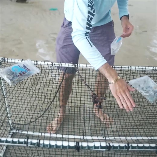 I Trapped Fish In THIS | The Fish Guys