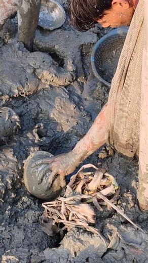 Underwater Exploration: Discovering a Hidden Fish Cave!​