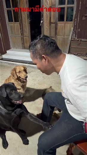 Teacher Dam isn't a weirdo; he can answer any question.